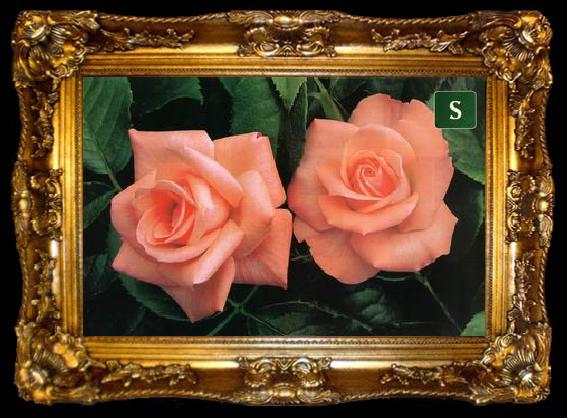 framed  unknow artist Still life floral, all kinds of reality flowers oil painting  205, ta009-2